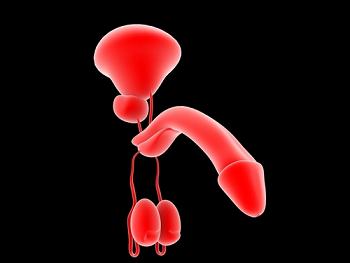 Informatief artikel over sterilisatie en seksualiteit met medische illustratie over vasectomie en intimiteit