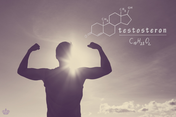 Testosteron verhogen na veertig jaar informatief artikel met praktische tips over voeding beweging en leefstijl